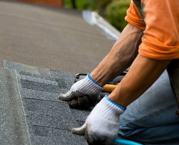 Best Roof Gutter Cleaning  in Monahans, TX